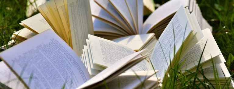 Publikationen Mehrere Bücher liegen im Gras