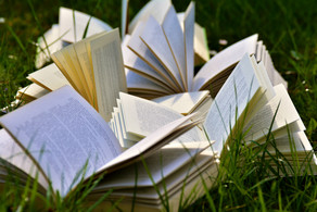 Publikationen Mehrere Bücher liegen im Gras